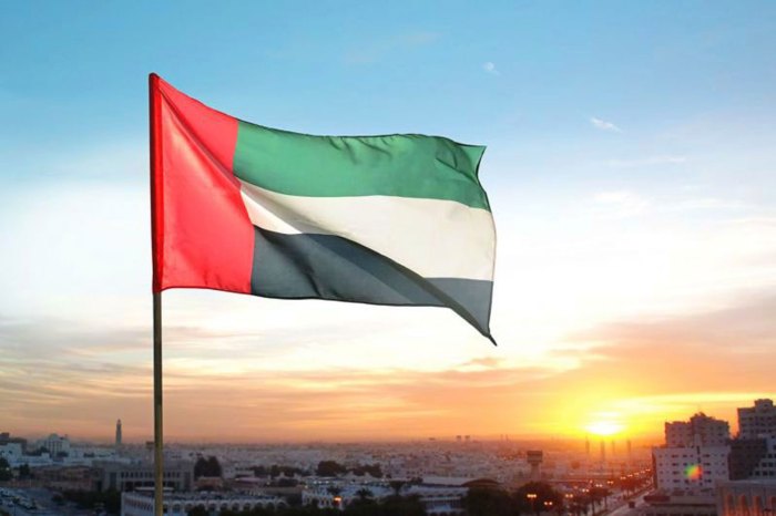 Uae flag public dhabi abu